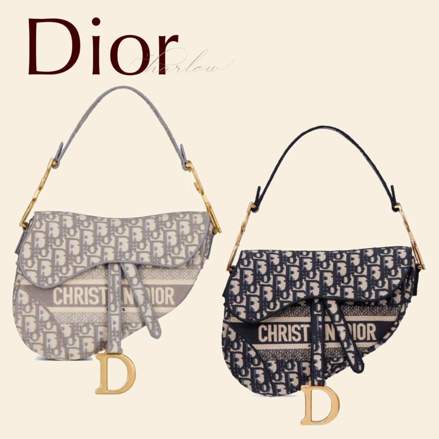 【ディオール】大人気♪♪レディースショルダーバッグ · 2色